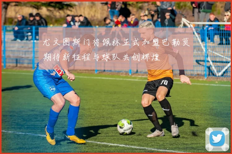尤文图斯门将佩林正式加盟巴勒莫期待新征程与球队共创辉煌
